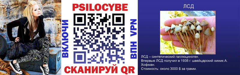 Галлюциногенные грибы Magic Shrooms  как найти закладки  Ливны 
